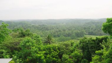 Huzurlu doğa manzarasının tadını çıkarmak, güneşlenmek, meyve suyuyla ferahlamak, egzotik tatil beldesinde lüks tatil yaşam tarzını kucaklamak. Kadın zengin tropik ortamda sonsuz havuzda dinlenir, kokteyllerini yudumlar..
