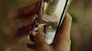 Geleneksel baharat işleme, egzotik mutfak elementi. Artisan el sanatları, ağaç kabuğundan tarçın çubukları, akıllı telefondan yakalandı. Belgelenmiş el işi becerileri, sürdürülebilir hasat uygulaması.