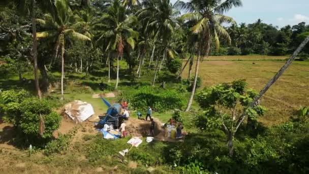 2023 ミリッサ スリランカ エアリアルビューは 熱帯太陽の下でわらを分離し 米の収穫中に穀物の層を操作するスリランカの農民を捕獲します — ストック動画