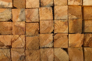 Ahşap kirişlerin yakın çekimi, yaratıcı inşaat projeleri veya sürdürülebilir inşaat projeleri için organik desenlerin ve marangozluk malzemelerinin altını çizmek.