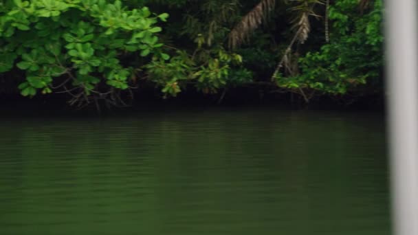 Reflecterende Wateren Omarmen Weelderige Mangroven Serene Tropische Meer Omzoomd Door — Stockvideo