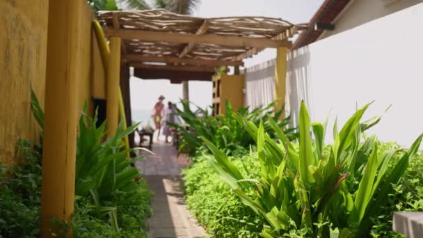 阳光明媚的日子 人们可以走在绿油油的异国植物的阳台上 在有阳光的绿灌木植物间漫步 在巴厘岛的咖啡店里冲浪 室外露台设计 黄墙和白墙 — 图库视频影像