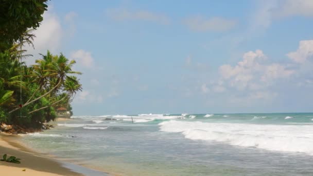 浪花落在金黄的沙滩上 绿色的棕榈树摇曳着 热带海滩 清澈的 泡沫般的海浪冲刷在明亮的蓝天下上岸 隐秘的海滨乐园 供休闲 日光浴之用 — 图库视频影像