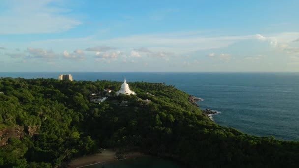 Εναέρια Drone Της Βουδιστικής Παγόδα Δασώδη Λόφο Θέα Ήρεμο Ωκεανό — Αρχείο Βίντεο