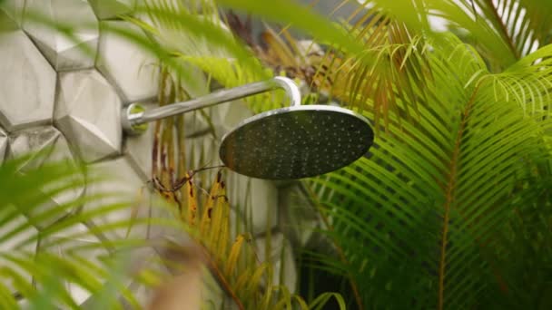 Relaksujące Wrażenia Deszczu Dla Ekologicznego Wellness Stylu Życia Prysznic Świeżym — Wideo stockowe