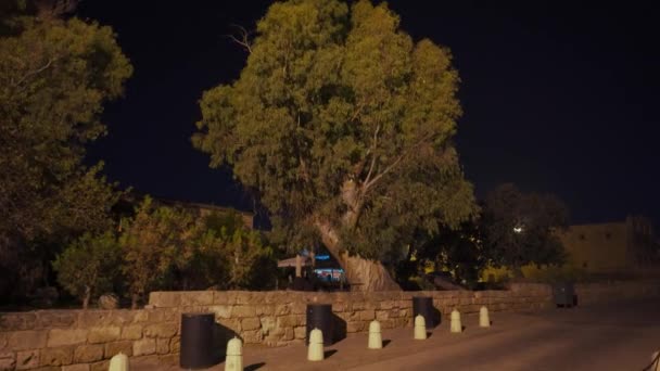 2021年10月29日 北塞浦路斯法马古斯塔 在老市中心的夜晚石墙 夜空下的古建筑 旅游景点 历史探险 文化遗产 没有人 — 图库视频影像