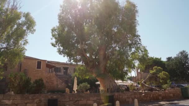 2021 Famagusta Północny Cypr Turyści Zwiedzać Starożytną Famagusta Spacer Pobliżu — Wideo stockowe