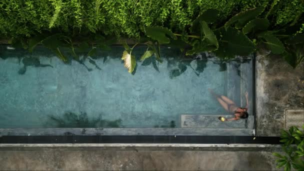 Etrafı Yeşilliklerle Çevrili Nihai Sükunet Için Havadan Havuzda Güneşten Zevk — Stok video