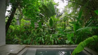 Özel yüzme alanı, çevre dostu mimarisi, yeşil bitkilerle çevrili sakin bir tatil evi olan özel bir mülk. Bahçedeki lüks tropikal havuz. Açık hava mülk tropikleri..