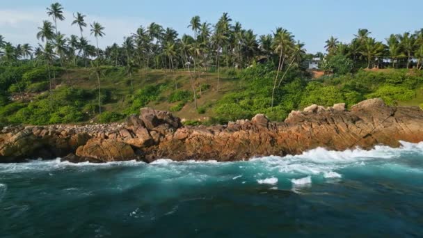 Verdeggiante Paesaggio Tropicale Con Palme Filmati Aerei Droni Potenti Onde — Video Stock