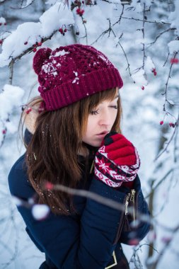 Noel indirimi. Kırmızı eldivenli ve şapkalı güzel bir kadın kışın arka planda, karlı ormanlar ve kırmızı kızılcıklar içinde. Kış giyimi ve yeni yıl konsepti.