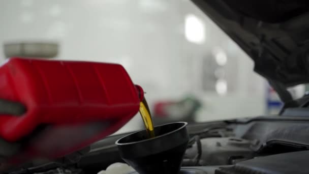 Vehicle Upkeep Filter Replacement Fluid Check Auto Service Performance Optimization — Stock Video