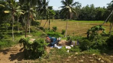 2023-03-15 - Mirissa, Sri Lanka. Olgun pirinç tarlasında tahıl harman makinesi kullanan işçilerin havadan görünüşü, hasat mevsiminde Asya kırsalında saman işçiliğini ayırmak..