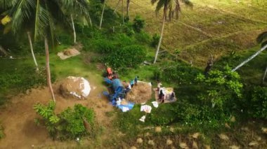 2023-03-15 - Mirissa, Sri Lanka. İşçiler, palmiye ağaçlarıyla çevrili kırsal alanda pirinç hasadı için makineler ve işçilik yapıyorlar. Zengin pirinç tarlalarında tahıl harman makinesini kullanan Asyalı çiftçilerin hava görüntüsü.
