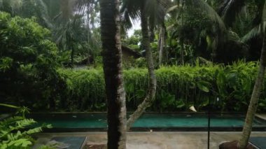 Sakin suda hafif bir hareket, doğanın ortasında rahatlama, insansız hava aracı tarafından yakalanan sakin bir kaçış. Hava manzaralı kadın, verimli tropik yeşillikler arasında tenha bir havuzda yüzmekten hoşlanıyor..