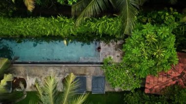 Açık mavi suda boş zaman aktivitesi, güneşli bir günde doğanın ortasında rahatlama. Bereketli yeşilliklerle çevrili, tropik yüzme havuzunun havadan görünüşü. Mükemmel seyahat, tatil ayarları..