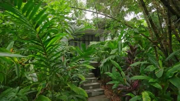 高端地产周围环绕着绿色异国植物 奢华的隐藏别墅在富饶的热带花园 石径通向现代私宅 隐退在自然界中出租或出售 悄悄逃走 — 图库视频影像