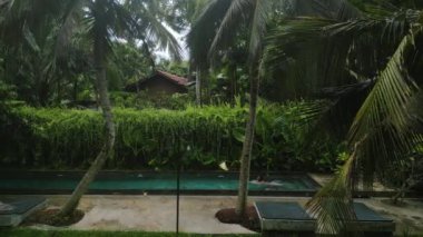Berrak mavi sudaki zarif hareketler sakinlik duygusunu çağrıştırıyor. Refah temaları için mükemmel, tek başına seyahat kaçışı. Boş zamanların tadını çıkaran kadın dronu tropik yeşillikte tenha havuzda yüzüyor..