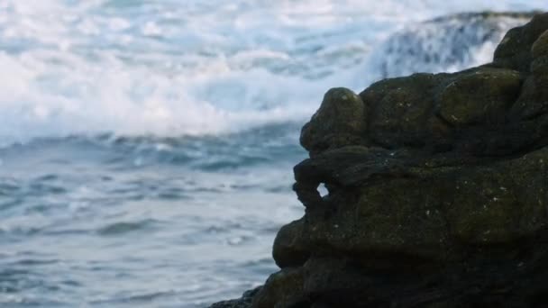 Вода Брызгает Воздух Закатом Солнца Волны Разбиваются Скалы Пляже Закате — стоковое видео