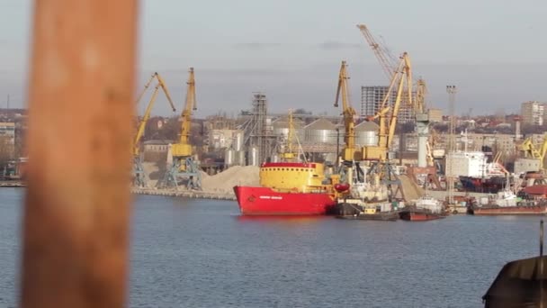 Guindastes Industriais Carregam Frete Comércio Marítimo Ação Navio Carga Atracado — Vídeo de Stock