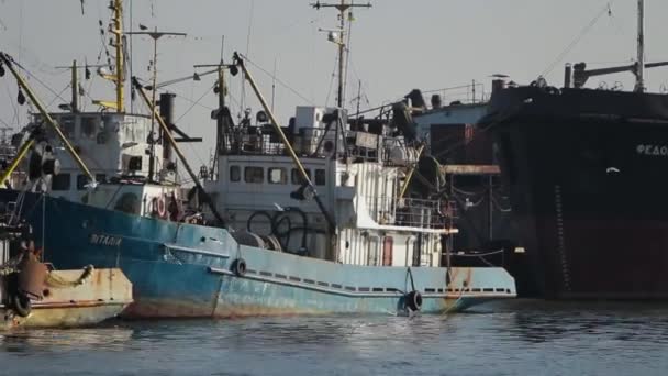 Sjöfartsindustri Sjötransport Fisk Och Skaldjursförsörjning Kommersiella Fiskefartyg Dockade Hamn Trålare — Stockvideo