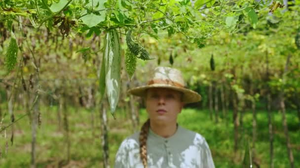 ラップトップを持つ植物ブリーダーは 農場で栽培されたエキゾチックなハイブリッド野菜をチェックします クロスポリネーションによるボトルグルメの選択に関する農業主義の女性 ストロー帽子の科学者 植物の栽培について — ストック動画