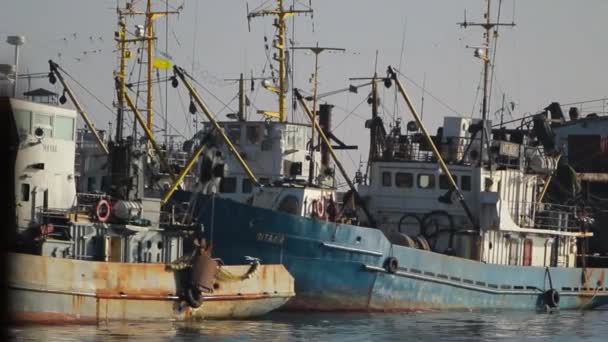 Vaartuigen Uitgerust Met Netten Vistuig Voor Duurzame Oceaanvangst Trawlers Voor — Stockvideo