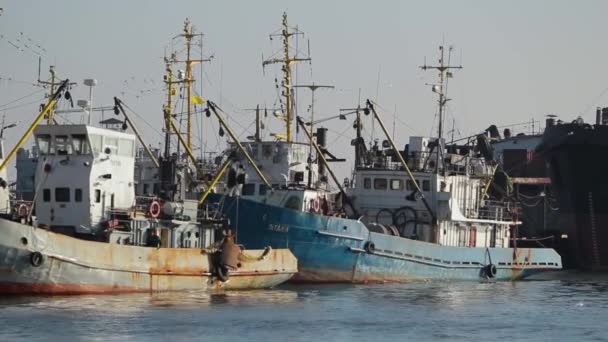 Die Besatzung Arbeitet Deck Schleppt Netze Der Maritime Handel Floriert — Stockvideo
