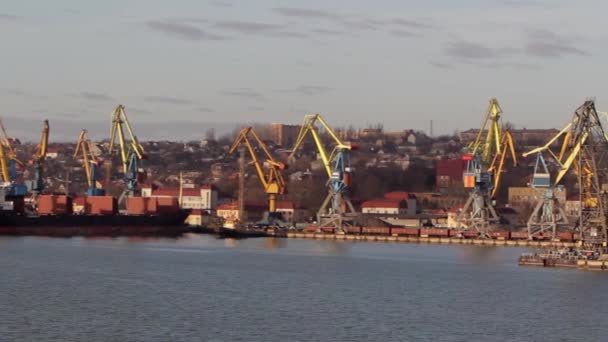 해안선 상업적인 수입품 번화한 Mariupol 기중기 콘테이너 행동에 산업에 도킹되는 — 비디오