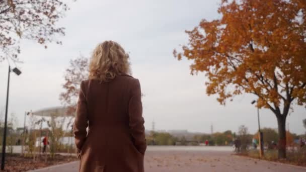 微风徐徐落下 宁静的大自然环绕着 优雅的女人在公园里散步 金黄的树叶飘扬 别致的女性喜欢秋天的美丽 宁静的活力 绿叶的道路 — 图库视频影像