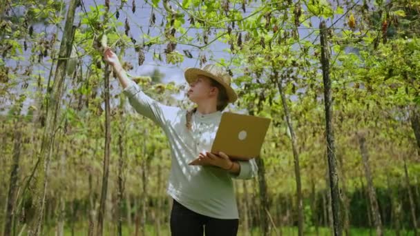 Laptoplu Kadın Çiftçi Sebze Çiftliğinde Kabak Hasadını Inceliyor Sebzeleri Kontrol — Stok video