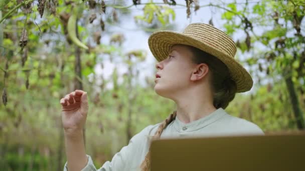 Laptoplu Kadın Tarım Uzmanı Çiftlikteki Sebze Hasadını Inceliyor Yeşil Şişeleri — Stok video