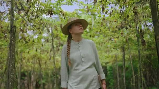 Женщина Агроном Осматривает Испорченный Урожай Овощной Ферме Белая Женщина Фермер — стоковое видео