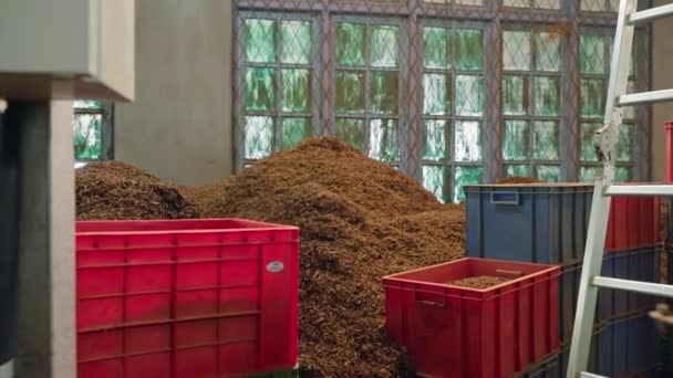 机器对茶叶进行分类包装 质量控制在进行中 在茶厂内 成堆的干叶等待加工 工业茶生产 传统方法 — 图库视频影像