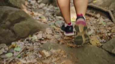 Kadın ormanda yürüyor, dağlarda doğayı keşfediyor. Kadın yürüyüşçü ayaklarına yakın plan pembe çoraplar giyip kayalık yolda yürüyüş ayakkabıları giyiyorlar. Sağlıklı açık hava aktivitesi, ormanda tek başına yürüyüş. Yavaşla