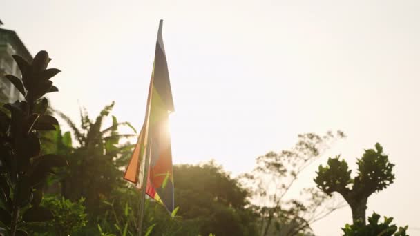 朝の太陽が国のシンボルに輝いています スリランカの旗は紅茶のプランテーションの上に夜明けに波 緑の丘 背景に新鮮な葉 シーンは文化 観光を反映しています スローモーション — ストック動画