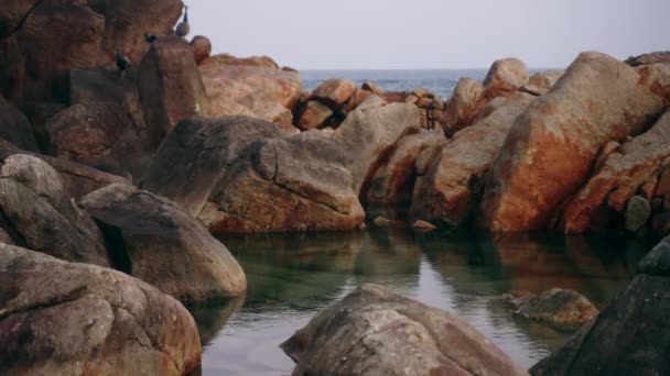 Perfect Relaxation Nature Scene Inspires Calm Natural Rocky Pool Sea — Stock Video