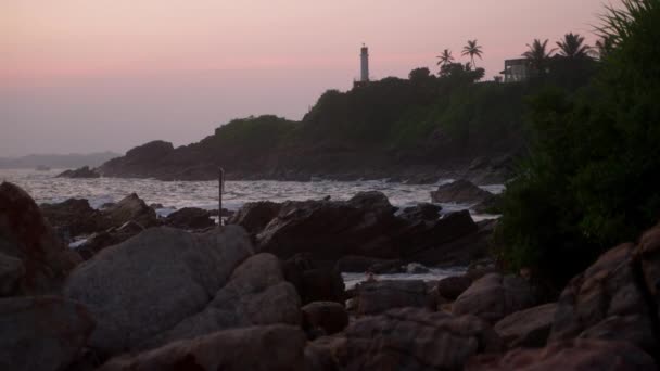 Φοίνικες Ταλαντεύονται Στον Ροζ Ουρανό Λυκόφως Κατεβαίνει Βραχώδεις Ακτές Κύματα — Αρχείο Βίντεο