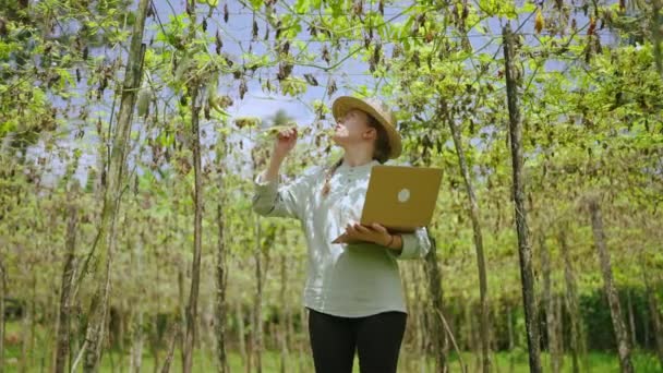 Laptoplu Kadın Tarım Uzmanı Çiftlikteki Sebze Hasadını Inceliyor Yeşil Şişeleri — Stok video