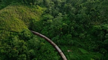 Canlı yeşil bitkiler Ella yakınlarındaki rayları sarar. Gün doğumunda Sri Lanka dağlarında tren yılanları. Drone yolculuğu, manzaralı çay tarlaları görünür. Gezginler Asya 'da ikonik demiryolu gezisine çıktılar.