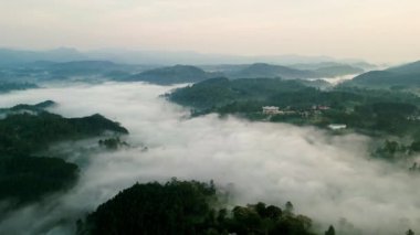 Sis halıları, binaları izole etmek. Misty Haputale dağları insansız hava aracının altında sergileniyor. Şafak vakti vadilerin zirvelerini ortaya çıkarıyor. Huzurlu doğal güzellik üzerinde uçuş, gezgin turistler Sri Lanka.