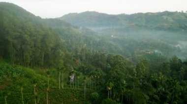 Tren zengin tepelerden geçerken ağaçların tepelerinde sis yüzüyor. Gündoğumu Ella sıradağlarını aydınlatır, Sri Lanka. Şafak söküyor, hava aracının perspektifinden yeşil manzarayı ortaya çıkarıyor..