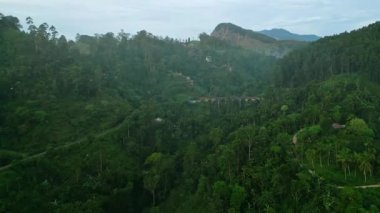 Sabahın erken saatlerinde sisli dağları, yemyeşil ormanları ve ikonik dokuz kemer köprüsünü yıkıyor. Ella, Sri Lanka 'da gündoğumu. Uzak manzara, seyahat için huzurlu doğa manzarası, sağlık, yoga inzivası..