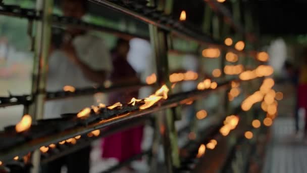 Devotees Offer Prayers Light Flames Ritual Kandy Rows Oil Lamps — Αρχείο Βίντεο