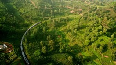 Hava aracı yeşil çay tarlaları ve teras tarlaları arasında hareket eden treni yakalıyor. Tren zengin Haputale dağlarında esiyor, Sri Lanka. İkonik seyahat, demiryolu manzaralı manzaralarda eko turu.