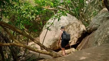Solo gezginler yoğun yapraklar arasında yürüyüş yapar, Sri Lanka 'daki büyük kayalarda gezinir. Maceracı kadın Pidurangala Kayası 'nı geçiyor. Sırt çantalı kayalık araziye meydan okuyor. Açık hava aktivitesi, doğa keşfi.
