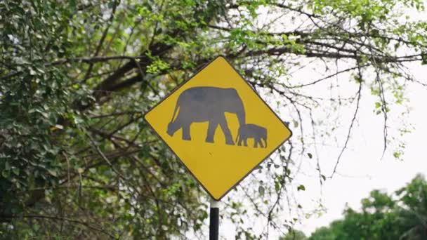 Upozornění Pro Řidiče Oblasti Divoké Zvěře Slon Přecházející Přes Silnici — Stock video