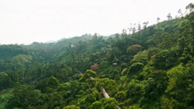 Canlı yeşil çay tarlalarında, tepelerde, ormanlarda raylarda manzaralı bir yolculuk. Tren gün doğumunda Ella yakınlarındaki Sri Lanka dağlarından geçecek. Turistler ikonik demiryolu seyahati, tepe taşrasını keşfetme deneyimi yaşıyorlar.