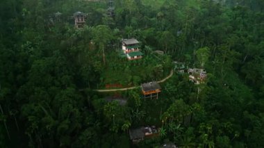 Altın banyolar, yoğun Lanka ormanları. Gündoğumunda Ella dağlarının üzerinden insansız hava aracı uçuşu. Kırsal evler canlı yeşil yapraklar, doğa uyanıyor. Huzurlu, el değmemiş manzara sabahın erken saatlerinde parlıyor..