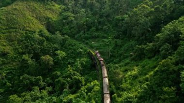 Bitkilerdeki hava manzaralı demiryolu seyahati. Güneş doğarken Ella yakınlarındaki Sri Lanka dağlarından tren geçiyor. Sabahın erken saatlerinde tropikal manzaralar, eko-turizm, macera yolculuğu....